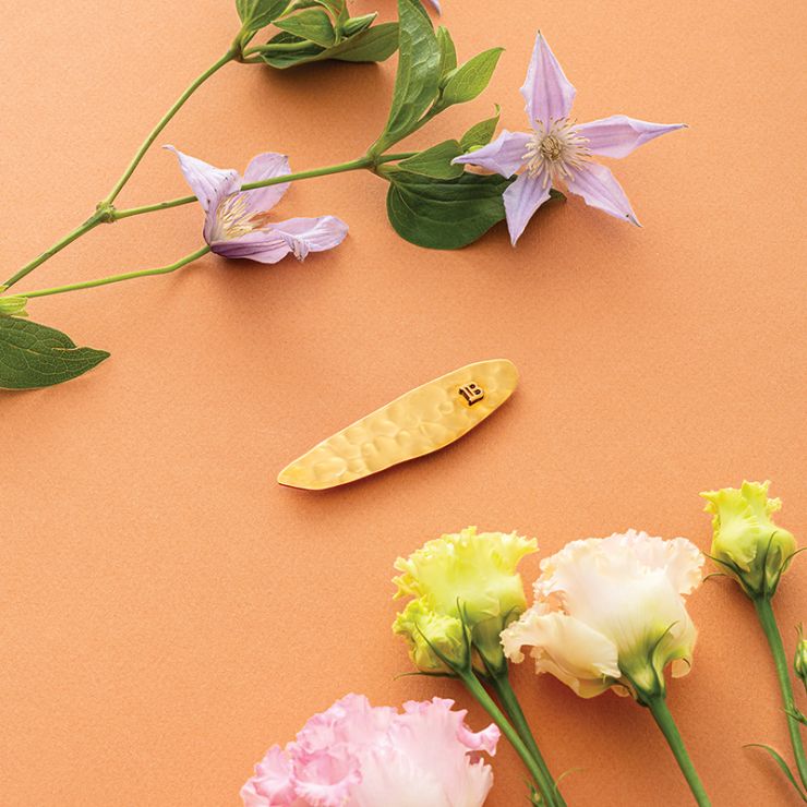 Limitierte Edition Printemps Leaf Slide 